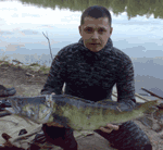 Аватара пользователя