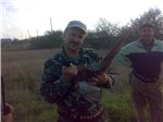 Аватара пользователя