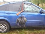 Аватара пользователя