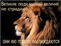 Аватара пользователя