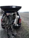 Аватара пользователя